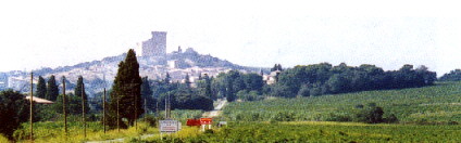 Blick auf Chteauneuf-du-Pape